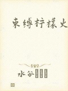 束缚柠檬火焰封面
