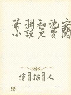 萧渊和沈安安的小说免费阅读