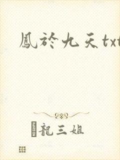 凤于九天txt封面
