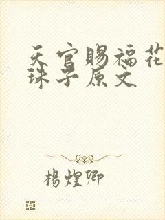 天官赐福花怜塞珠子原文