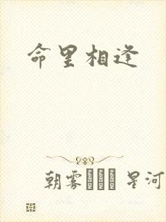 命里相逢