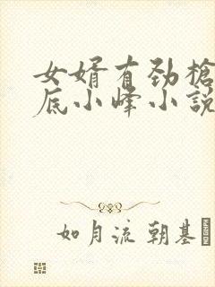 女婿有劲枪枪到底小峰小说