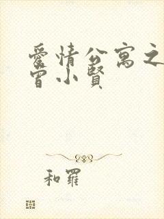 爱情公寓之极品曾小贤封面