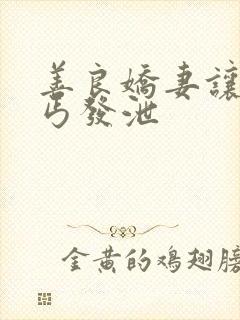 善良娇妻让老乞丐发泄封面