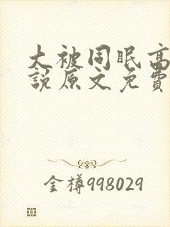 大被同眠高粱小说原文免费阅读