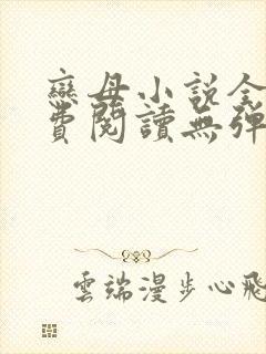 恋母小说全文免费阅读无弹窗笔趣阁封面