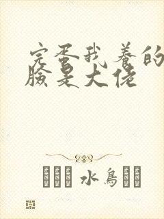 完蛋我养的小白脸是大佬
