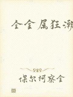 全金属狂潮小说