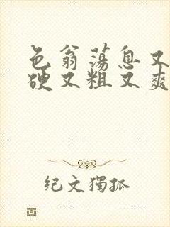 色翁荡息又大又硬又粗又爽封面