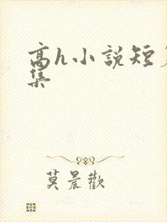 高h小说短篇合集