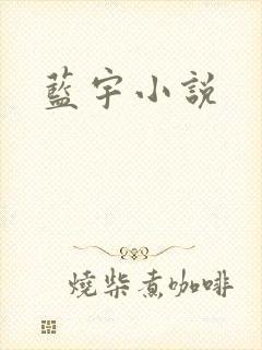 蓝宇小说
