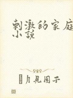 刺激的家庭乱仑小说封面