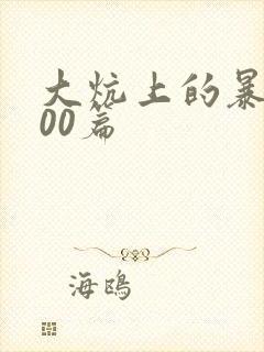 大炕上的暴伦500篇封面