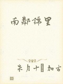 南邻锦里封面