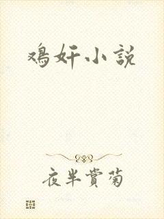 鸡奸小说
