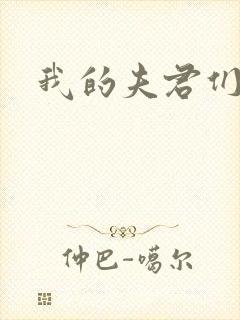 我的夫君们