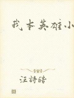 我本英雄小说