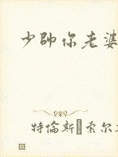 少帅你老婆