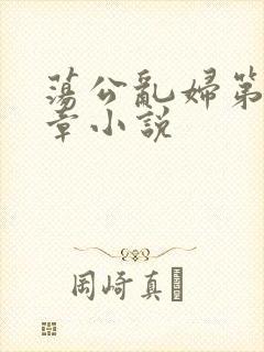 荡公乱妇第51章小说