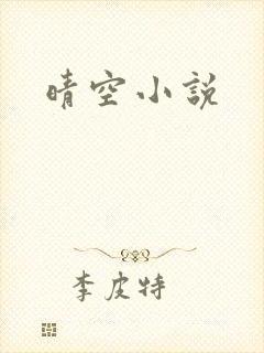 晴空小说