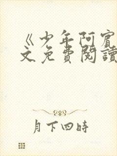 《少年阿宾》全文免费阅读