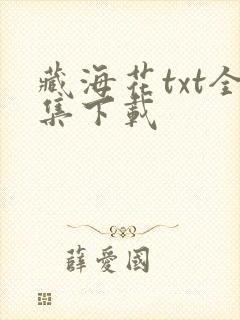 藏海花txt全集下载