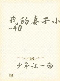 我的妻子小谨1-40