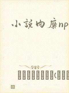 小说肉糜np封面