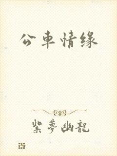 公车情缘