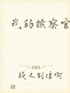 我的检察官先生