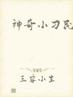 神奇小刁民