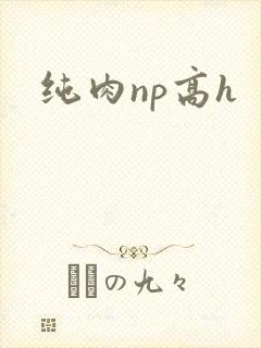 纯肉np高h