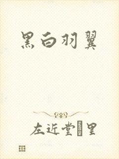 黑白羽翼封面