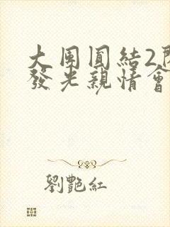 大团圆结2闪闪发光亲情会