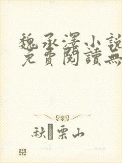 魏承泽小说全文免费阅读无弹窗笔趣