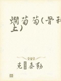烂葡萄(骨科年上)