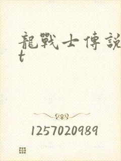 龙战士传说txt