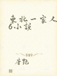 东北一家人1一6小说