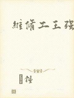 维修工王强张婷封面