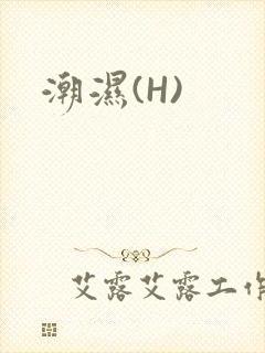 潮湿(H)
