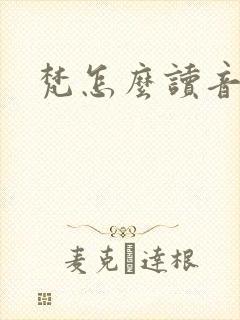 梵怎么读音封面