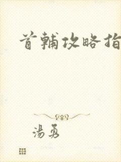 首辅攻略指南