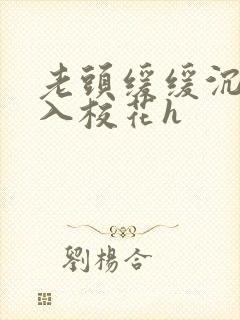 老头缓缓沉腰进入校花h