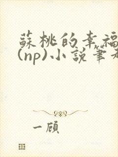 苏桃的幸福生活(np)小说笔趣阁沐沐