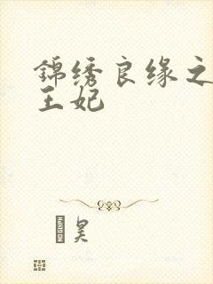 锦绣良缘之北地王妃