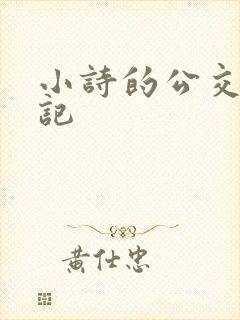 小诗的公交车日记