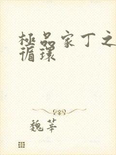 极品家丁之因果循环