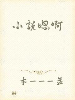 小说嗯啊