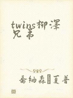 twins柳泽兄弟