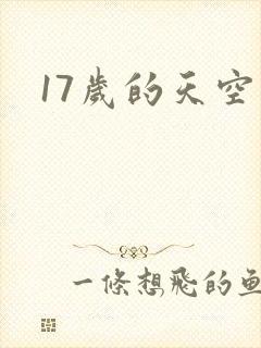 17岁的天空